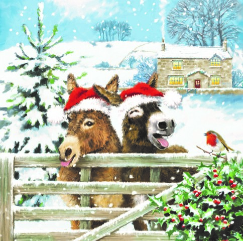 Donkey Pals in Hats